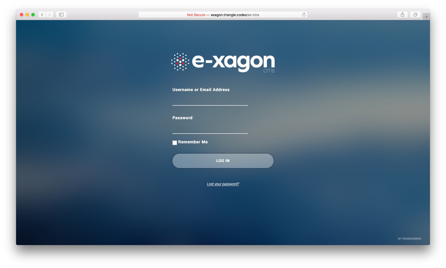 Triangle Mena - Exagon CMS